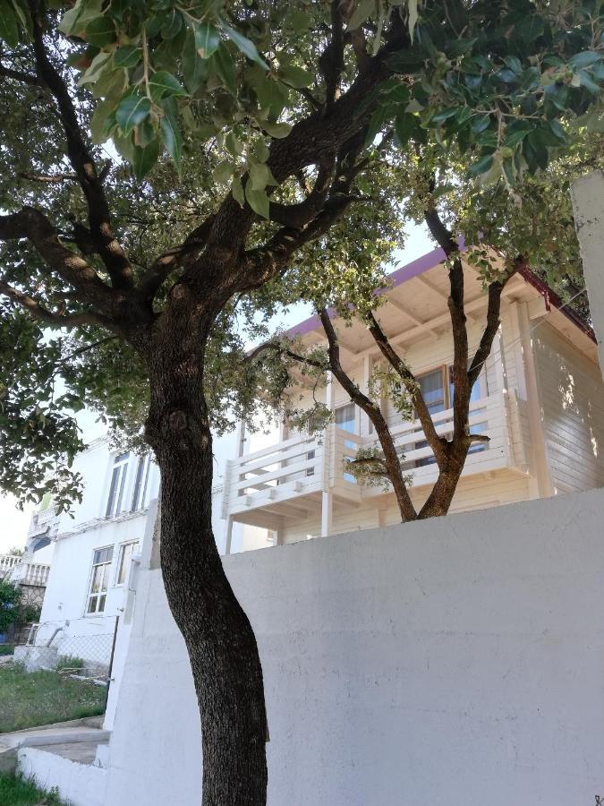 Seastar Eco Villa يوتجيها المظهر الخارجي الصورة